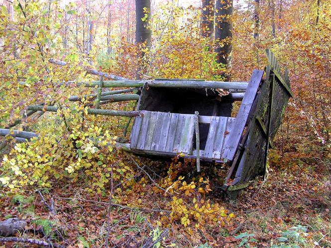 22.10.2012 - Staufenberg - Hochsitz umgekippt