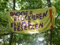 Bagger blockieren, Bäume besetzen!