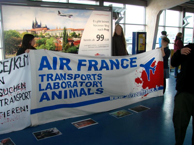 air france stoppen!