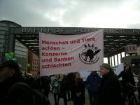 "Wir haben es satt" - Demo in Berlin 2015 23