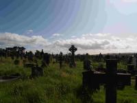 Irischer Friedhof 11