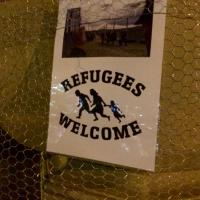 Kritik an faktischer Abschaffung des Asylrechts: Brunnen am Paradeplatz eingezäunt 