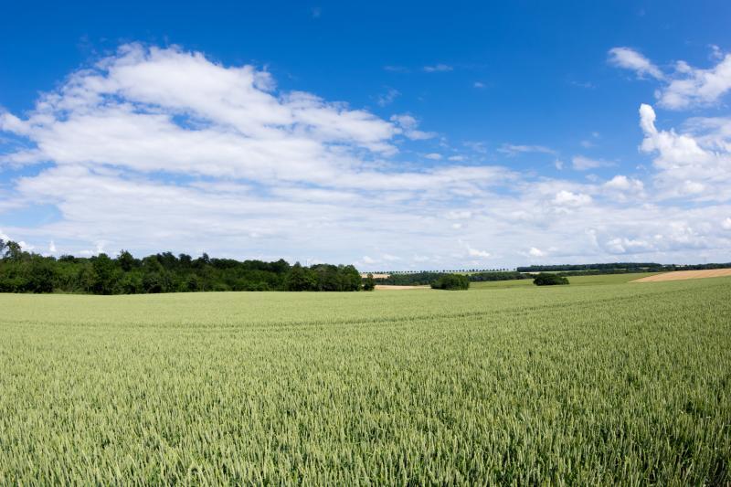 Pittoresque et en péril