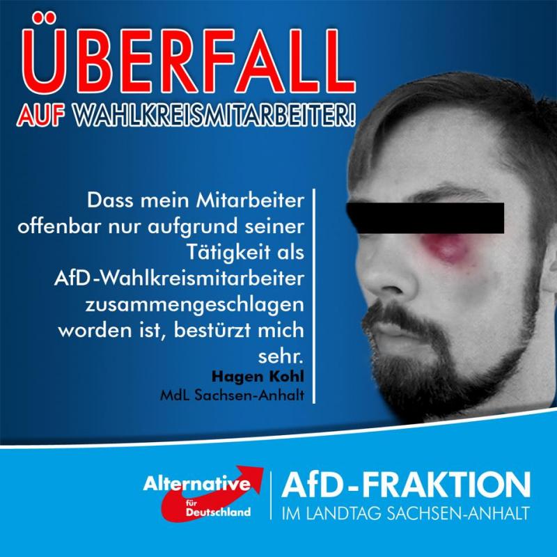 AfD-Propaganda