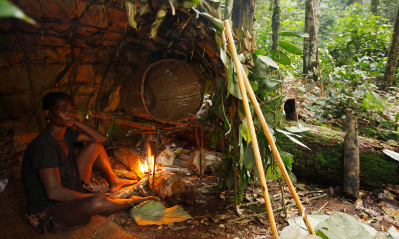 Anti-poaching government “eco-guards” in the Cameroon rainforests are alleged to have destroyed camps and property belonging to the hunter-gatherer Baka people. Photograph: Cyril Ruoso/Minden Pictures/Alamy Anti-poaching government “eco-guards” in the Cameroon rainforests are alleged to have destroyed camps and property belonging to the hunter-gatherer Baka people. Photograph: Cyril Ruoso/Minden Pictures/Alamy