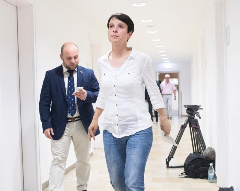 Nachwuchspolitiker Frohnmaier, AfD-Chefin Petry