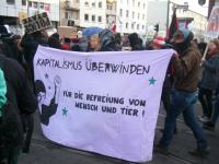 Tierbefreiung goes Blockupy 2015