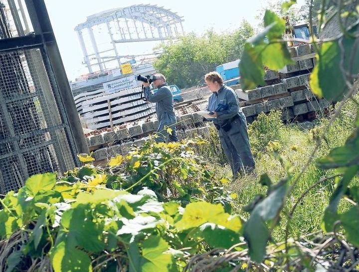 Die Suche nach den Tätern aus dem linken Milieu gestaltet sich schwierig. Die Szene hält dicht. - Foto: dpa