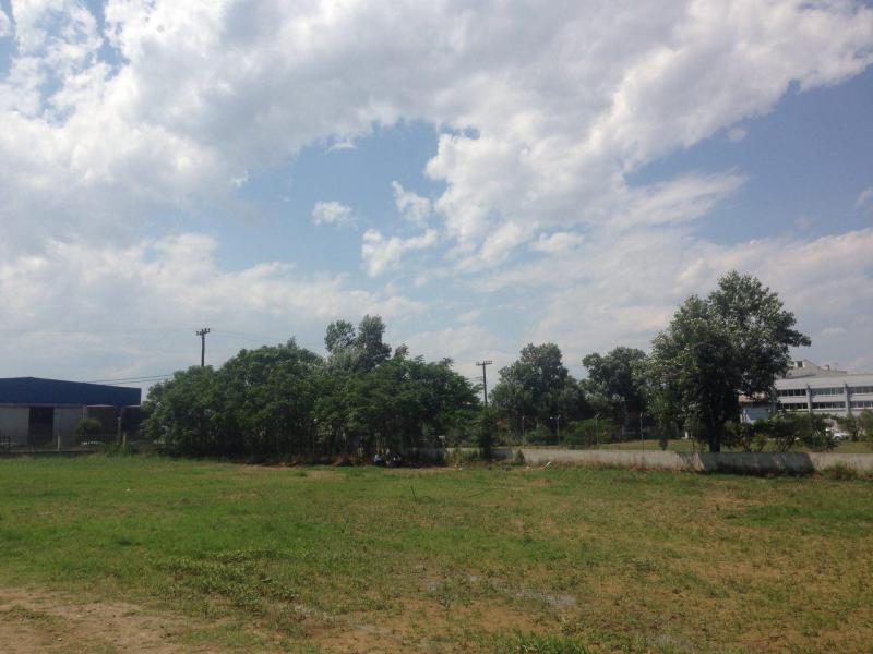 Eviction of Idomeni Camp 8