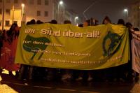 IVI Solidemo in Frankfurt am 14.02.2013 (Institut für vergleichende Irrelevanz)