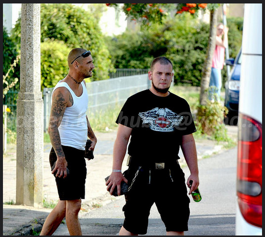 Steine und Bierflasche