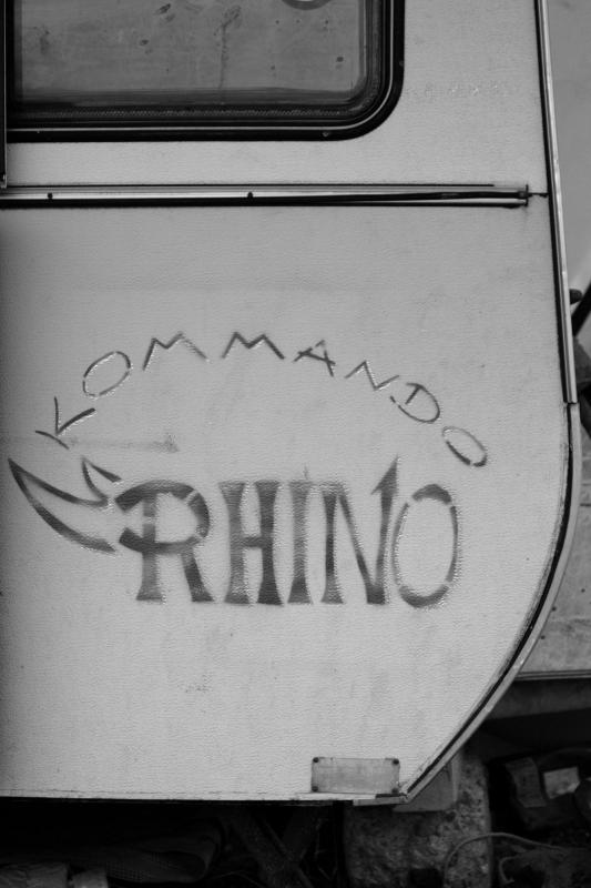 rhino