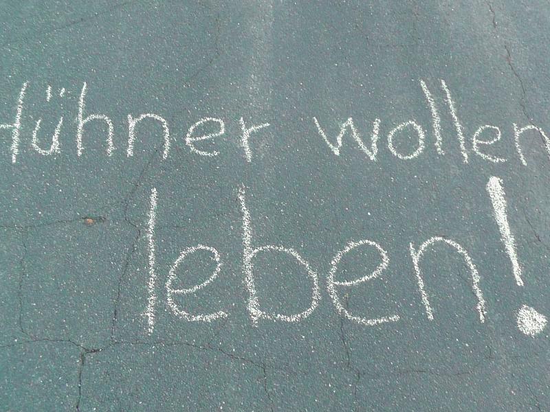 Hühner wollen leben