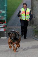 Polizist mit Personenspürhund