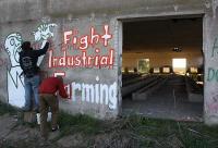 Fight Industrial farming - Verschönerung der alten Schweinemastruinen auf dem zukünftigen Baugelände