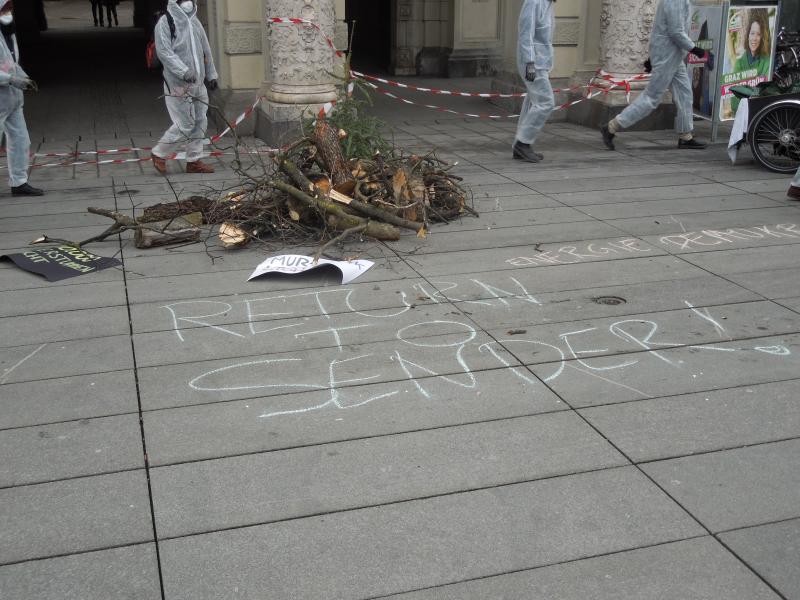 Graz wehrt sich gegen Kraftwerkbau 2