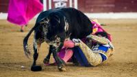 torero