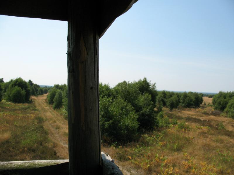 Aussicht Heide