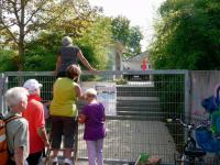 Über Leiter hinein ins Badevergnügen: Die Lollobesetzung geht als Besetzung mit dem höchsten Altersdurchschnitt in die Freiburger Protestgeschichte ein.