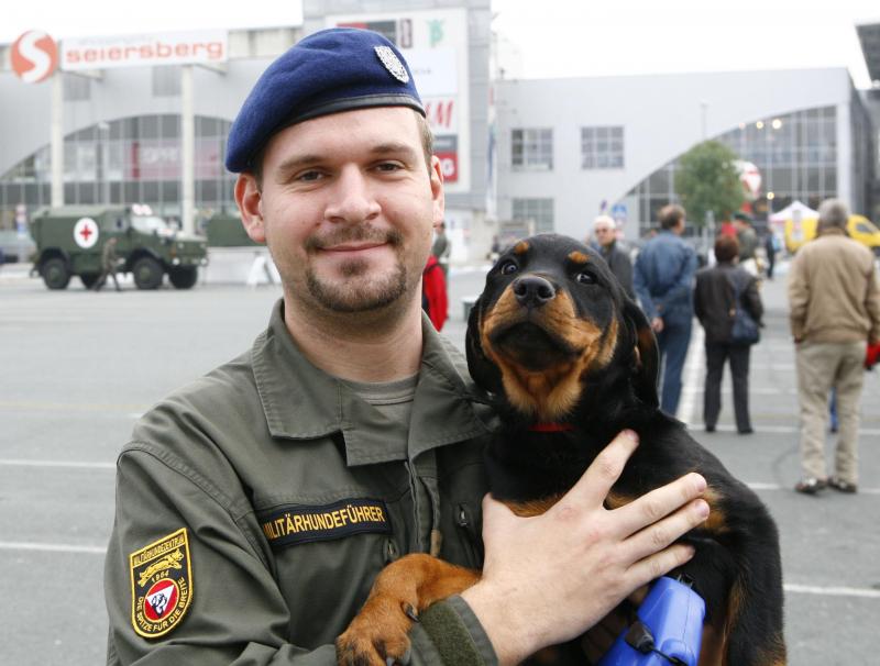 Bundesheer zum Angreifen: Babywelpen des Militärhundezentrums.