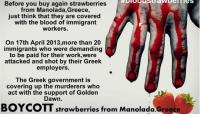 Boycott Strawberries from Manolada
