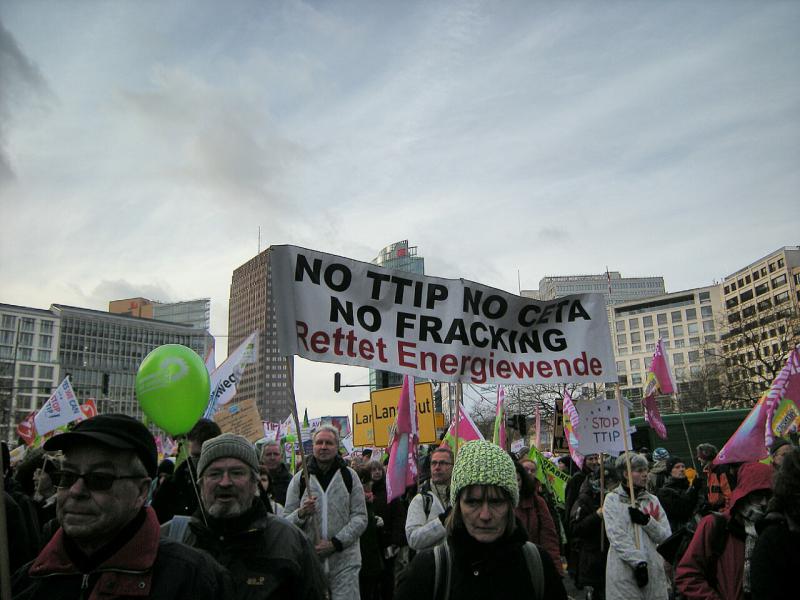 "Wir haben es satt" - Demo in Berlin 2015 16