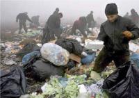 Roma im Kosovo suchen im Müll nach Brauchbarem. Die Armut treibt viele Angehörige dieser ethnischen Minderheit auf den Weg nach Westeuropa