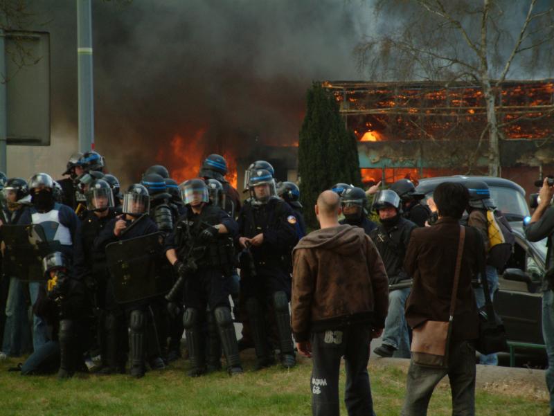 Prügelbullen vor dem Tourismusbüro