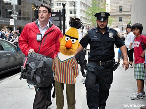 Occupy Sesame Street