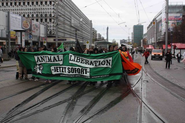 demo in magdeburg