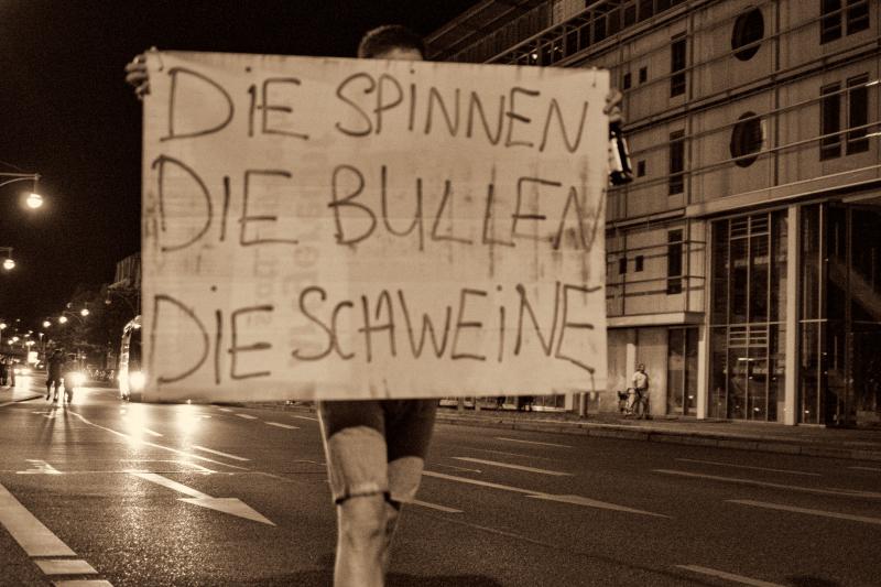 Die Spinnen, die Bullen, die Schweine