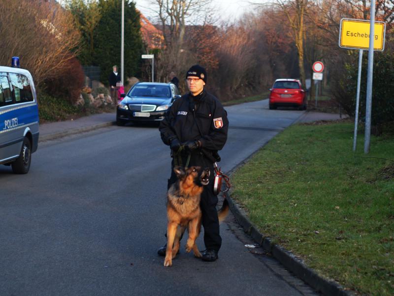 Hundestaffel vor Ort