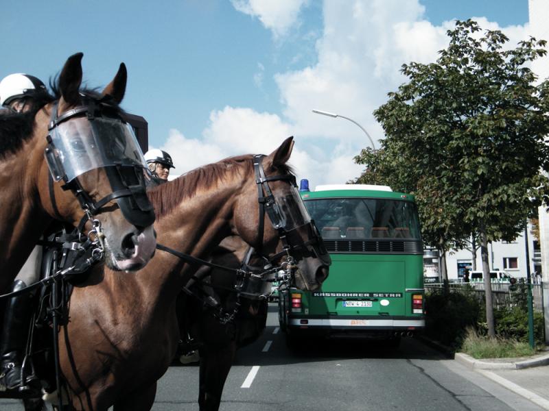 Polizeipferde