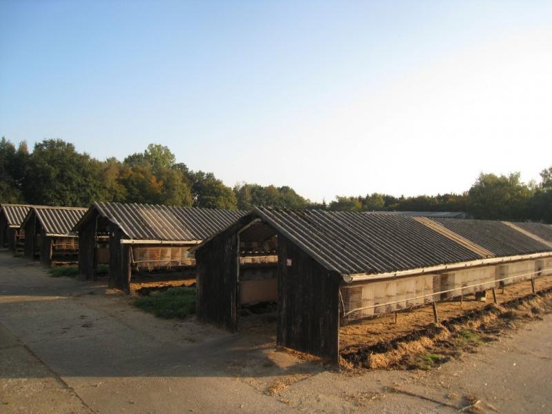 Die Baracken der Nerzfarm