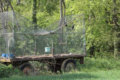 "Jusqu'à ce que chaque cage soit vide." (Until every cage is empty.)