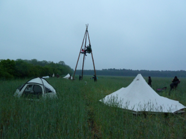 Was über nacht so alles auf einem Feld wachsen kann!