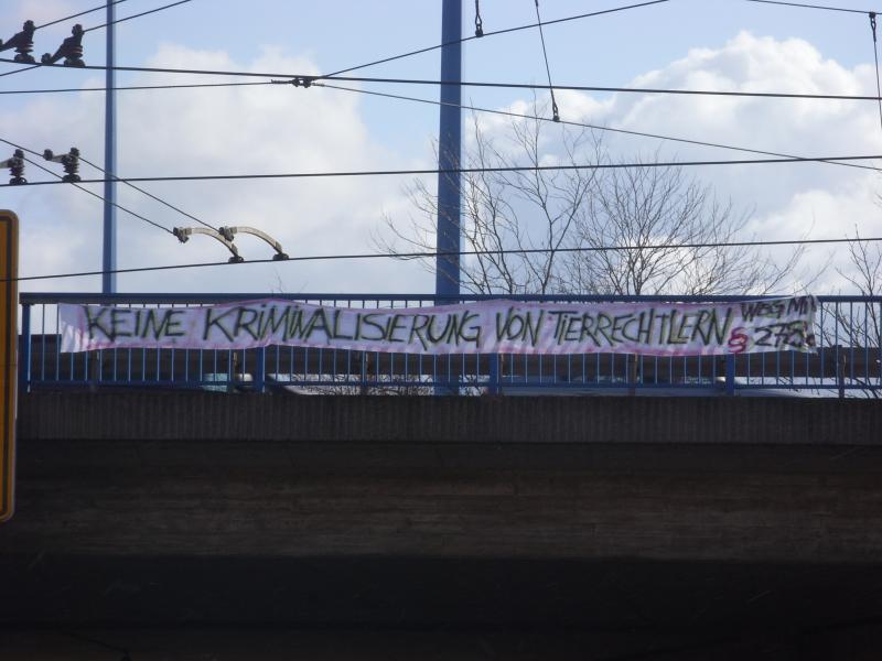 Transparent: Keine Kriminalisierung von TierrechtlernMagdeburg Damaschkeplatz