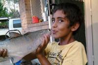 Jack Sultan Page, aged 8, was killed in a hit and run in Darwin., The driver received home detention.