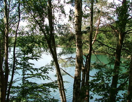 See im Wald 2008